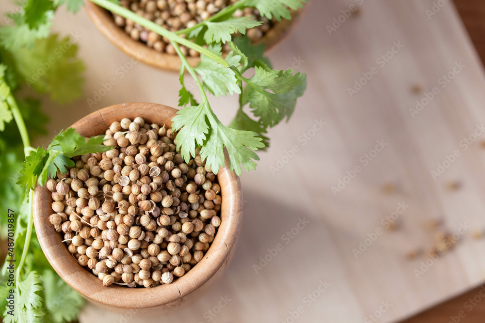 Coriander seeds in a wooden cup copy space Coriander seeds in a wooden cup copy space