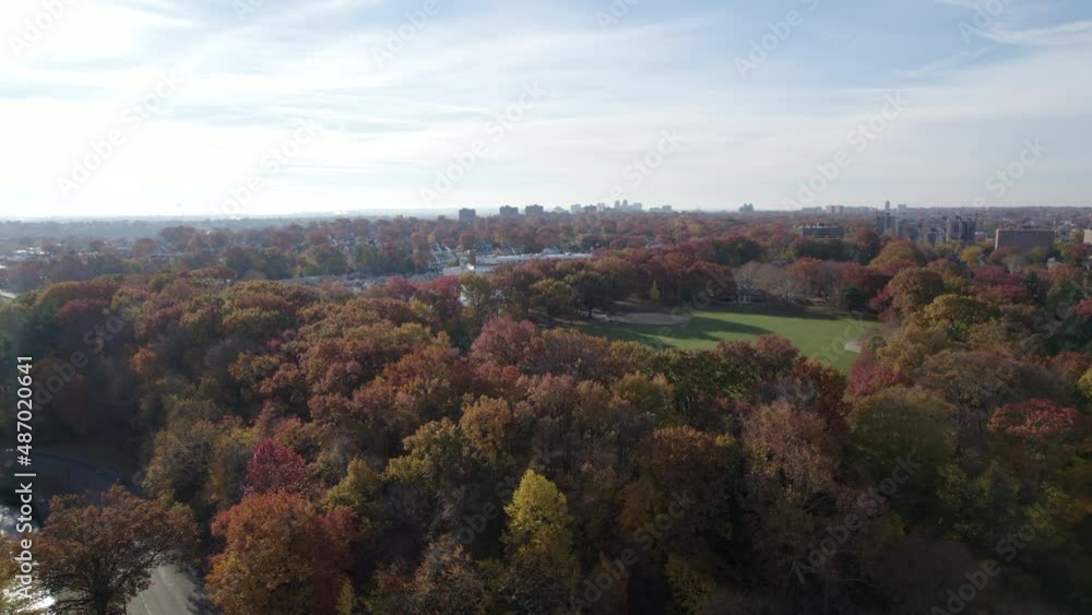Drone over park and fall trees Drone over park and fall trees