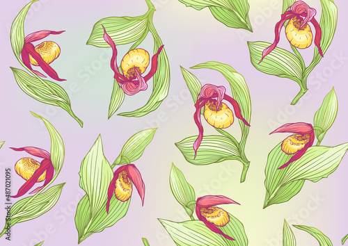 Lady s slipper orchid  Cypripedioideae  Seamless pattern  background. Vector illustration. In botanical style