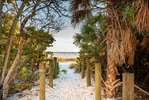 Wallpaper Mural beach with palm trees Torontodigital.ca