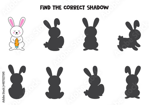 Find shadow of cute Easter rabbit. Educational logical game for kids.