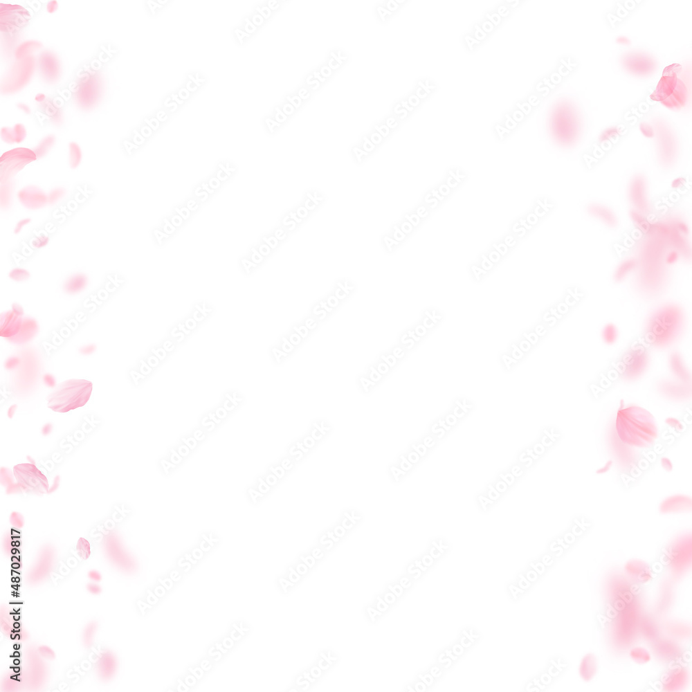 Sakura petals falling down. Romantic pink flowers borders. Flying petals on white square background. Love, romance concept. Pleasing wedding invitation.