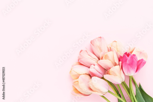 Fototapeta Naklejka Na Ścianę i Meble -  Bouquet of pink tulips on a pink background. Mother's day, Valentines Day, Birthday concept