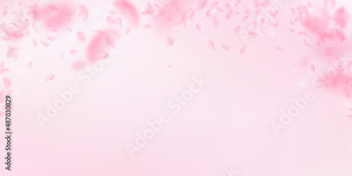 Sakura petals falling down. Romantic pink flowers falling rain. Flying petals on pink wide background. Love, romance concept. Modern wedding invitation.
