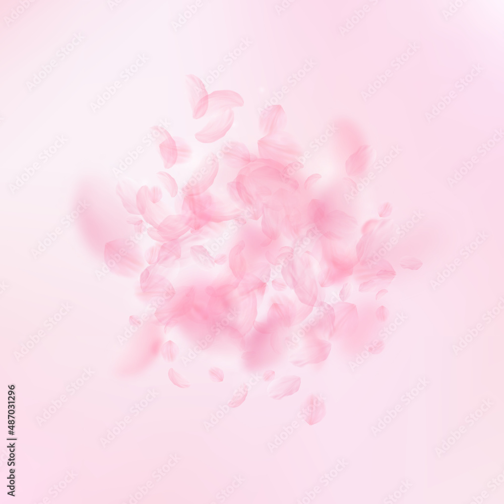 Sakura petals falling down. Romantic pink flowers explosion. Flying petals on pink square background. Love, romance concept. Fascinating wedding invitation.