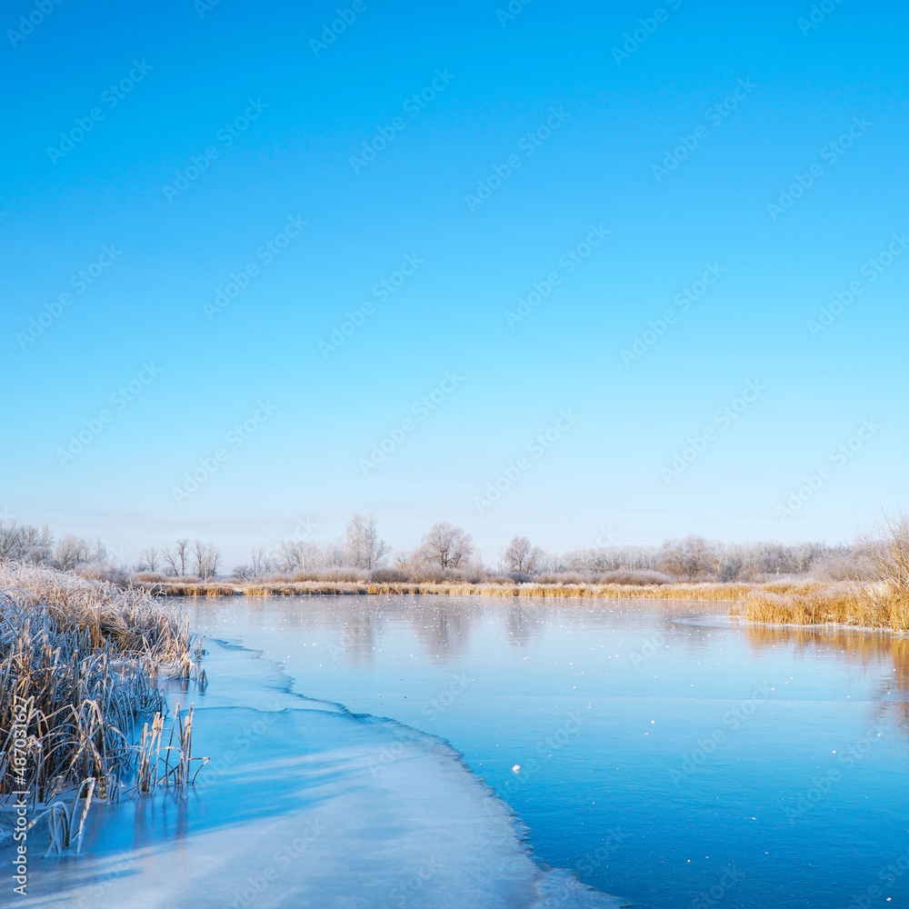 The blue sky over the ice of the winter small river. Bushes, reeds and trees covered with frost. Fabulous Winter landscape