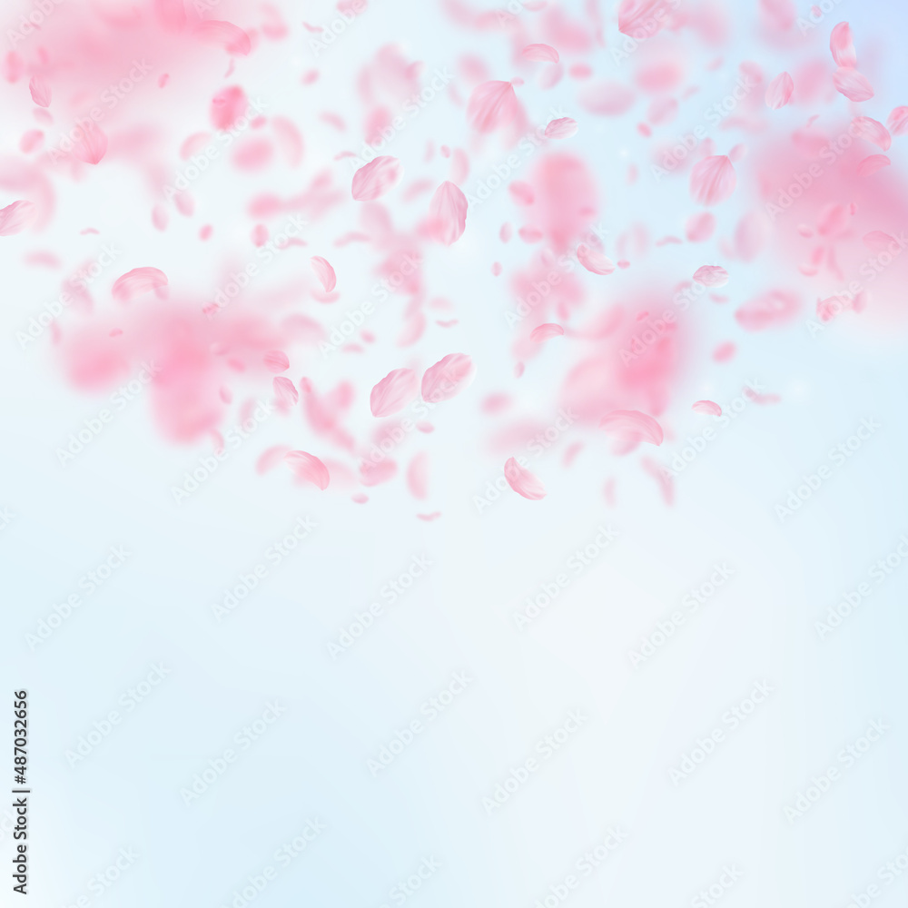 Sakura petals falling down. Romantic pink flowers semicircle. Flying petals on blue sky square background. Love, romance concept. Cool wedding invitation.