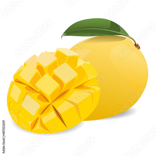 Whole mango and sliced mango. Vector illustration of mangos