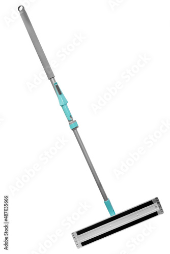 Cleaning mop isolated