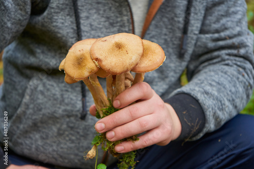 man holding mushrooms,man sitting in the woods holding mushrooms photo