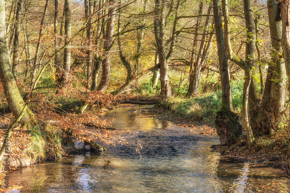 Dussel River,Neandertal,Bergisches Land,North Rhine Westphalia,Germany Dussel River,Neandertal,Bergisches Land,North Rhine Westphalia,Germany