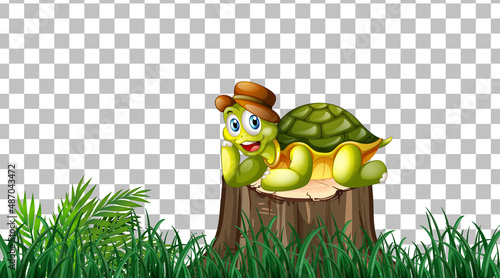 Turtle on the grass field on transparent background