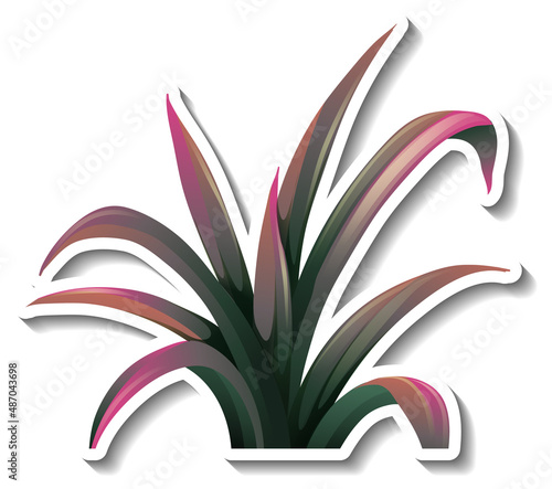 Tropical plant sticker on white background