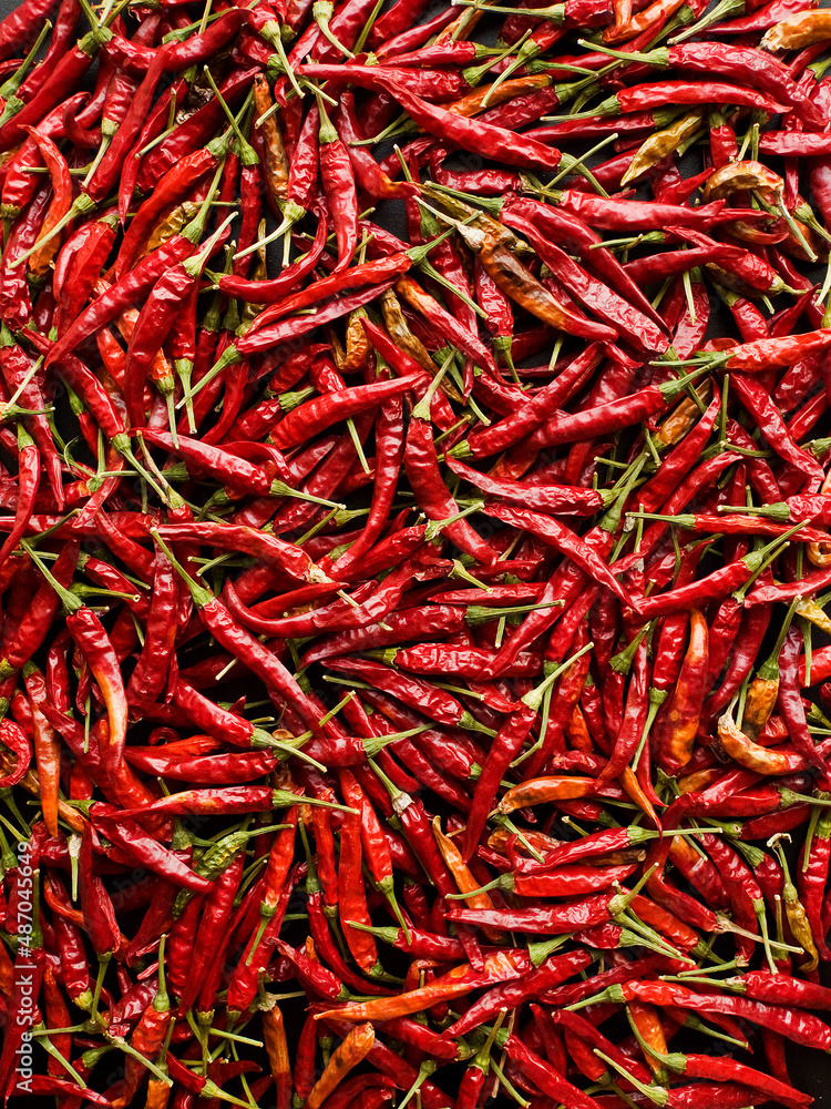 Dried red hot chili pepper