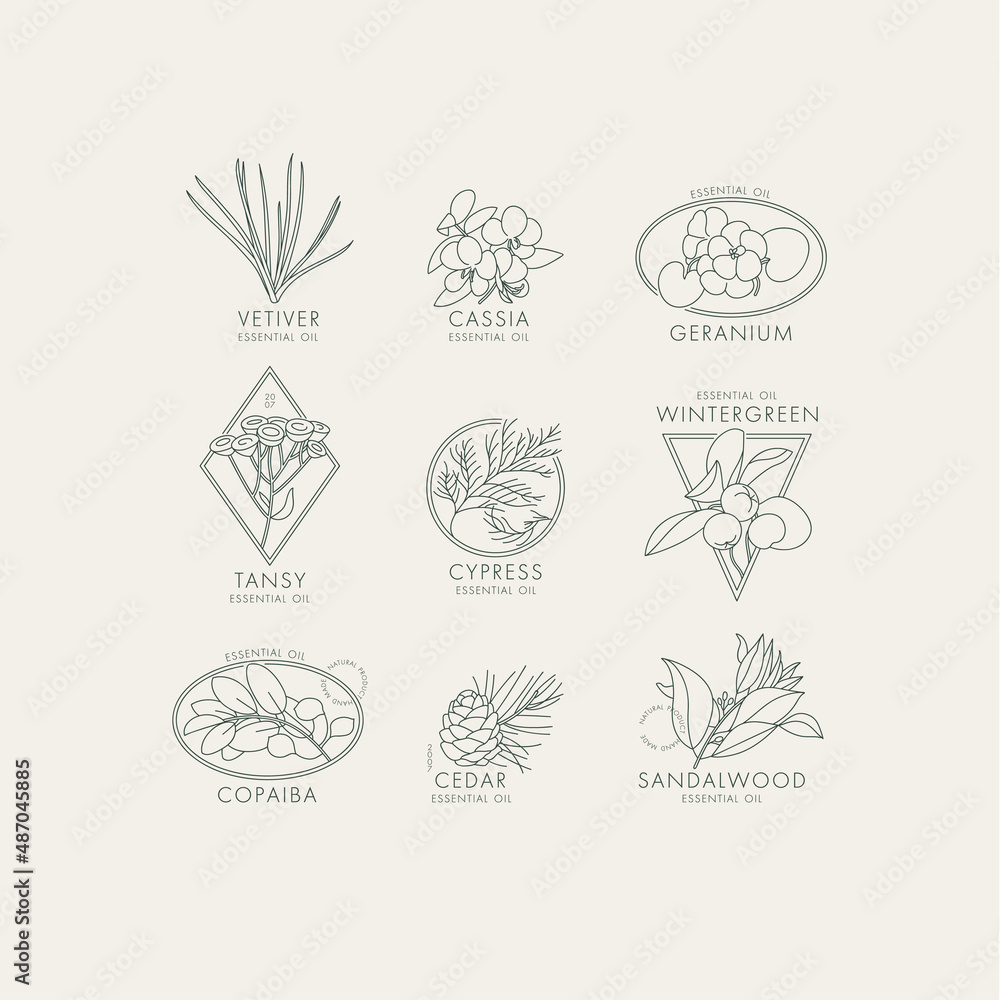 Vector linear set of botanical icons and emblems. Design logos with ...