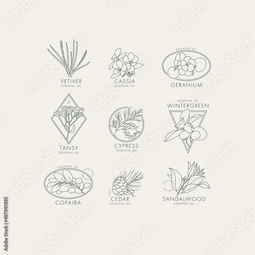 Vector linear set of botanical icons and emblems. Design logos with typography for essential oils. Natural cosmetic products.