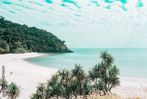 beach with water