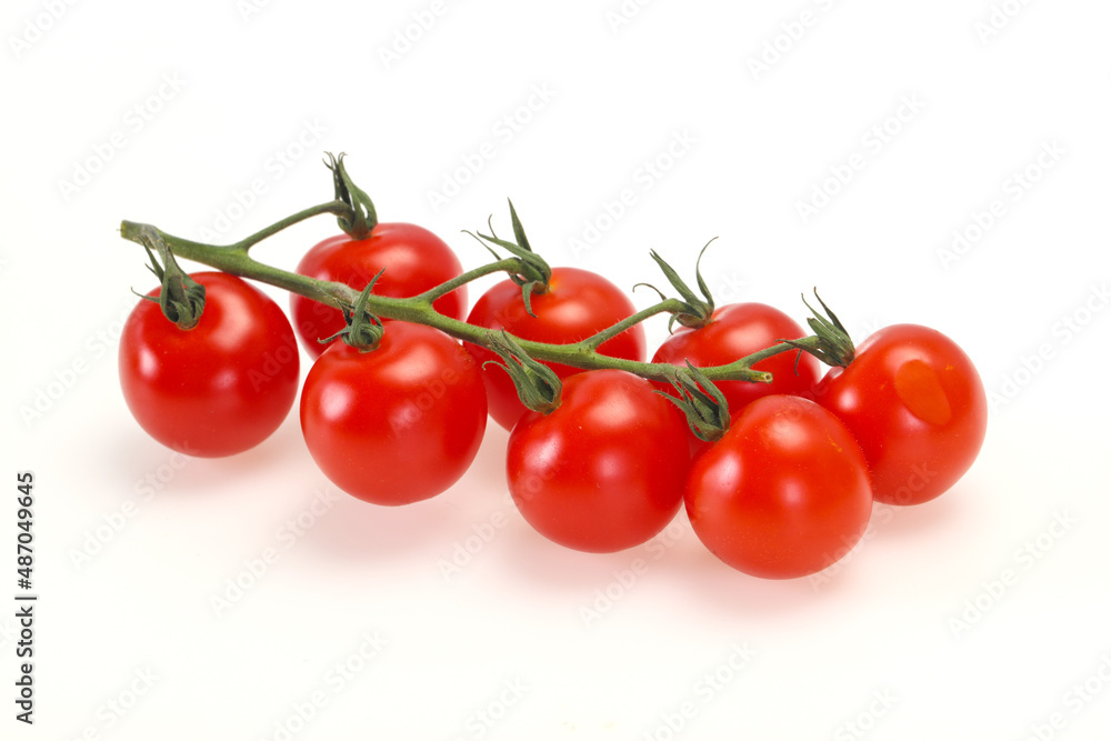 Ripe tomatoes on the branch Ripe tomatoes on the branch