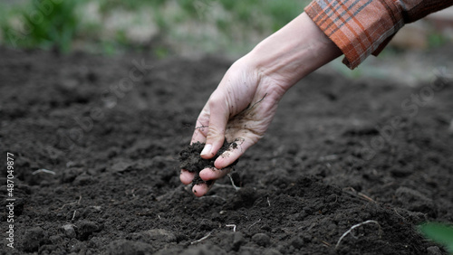 Female farmer hand holding and pouring black organic soil
