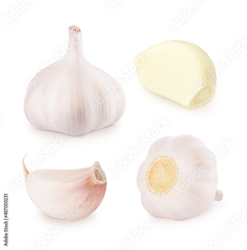 Set of fresh garlic isolated on white background.