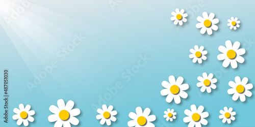 White daisy or chamomile flowers with sunlight on soft blue background, nature or spring and summer concept, space for the text, paper cut design style.