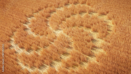 Billede på lærred field with alien crop circle formation