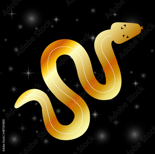 Magical golden serpentine with stars on black
