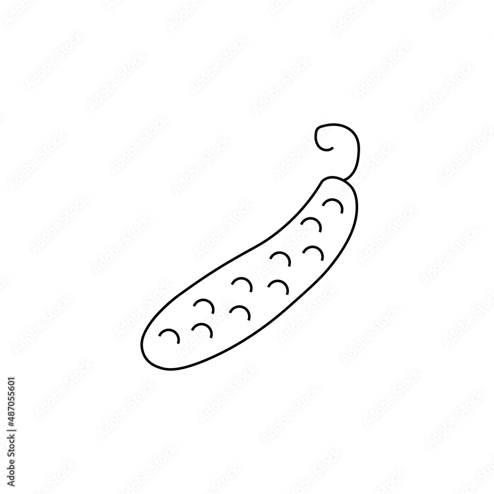 Plant food concept. Fruit and vegetable sign. Vector symbol perfect for stores, shops, banners, labels, stickers etc. Line icon of cucumber