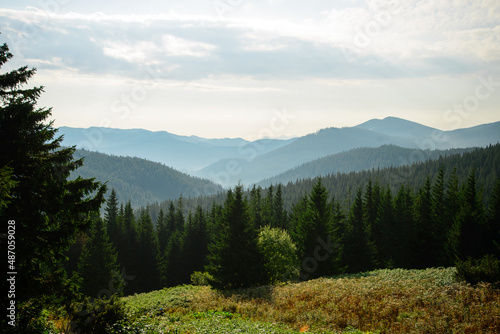 Carpathian mountain landscape in summer.  Mount Hoverla, the highest mountain in Ukraine. Fog in the mountains on a sunny morning. Cloudy sky.  Forested hills and grassy meadows in morning light. photo
