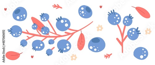 Hand drawn modern Blueberries set. Harvest concept. Vector abstract berries with flowers and leaves illustration. Isolated on black background.