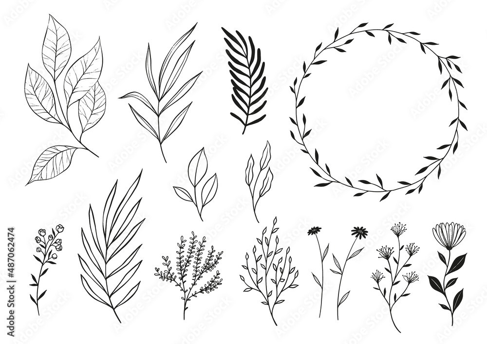 Fototapeta premium Set Of Black & White Line Drawing Plants, Leaves & Flowers Plus A Wreath