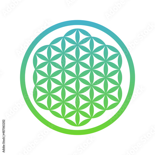 Flower of life symbol. Green blue geometric shape. Overlapping circles grid. Symbol of creation and unity. Figure representing the cycle of life. Seed of life sign. Vector illustration, flat, clip art