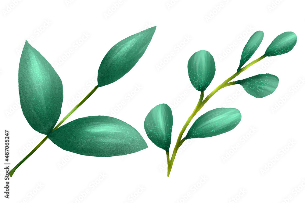 Set of two different branches with leaves