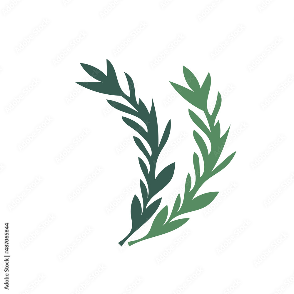 Simple hand drawn rosemary branches and leaves isolated. Vector hand drawn food illustration.