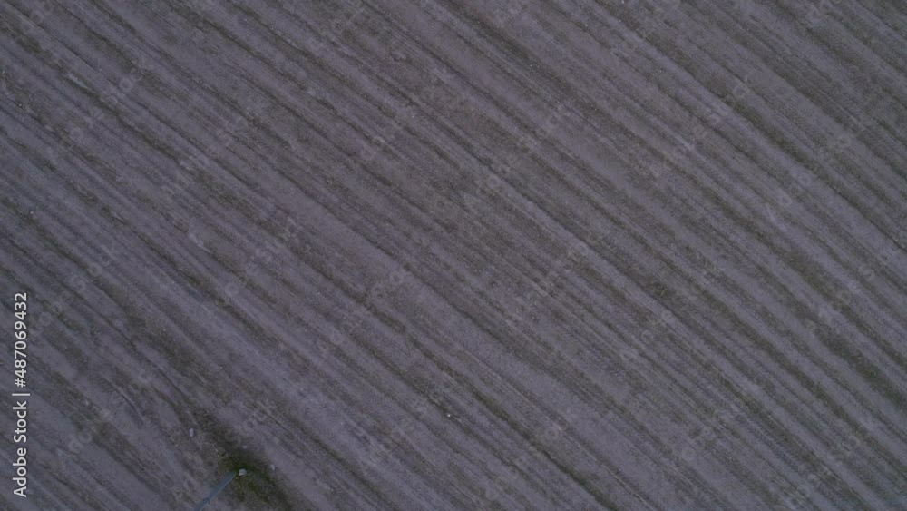 Terrain field texture from above. Aerial shot at dusk of empty agriculture field. Terrain field texture from above. Aerial shot at dusk of empty agriculture field.