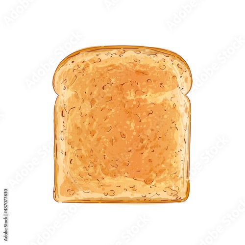 Vector Sliced bread toast. Slice of a whole wheat bread. Bakery, piece of roasted crouton for sandwich snack. Realistic illustration image.