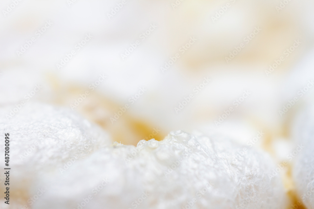Extreme close up of diet rice cracker texture Extreme close up of diet rice cracker texture
