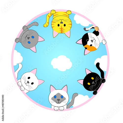 A round frame of various cats with blue sky