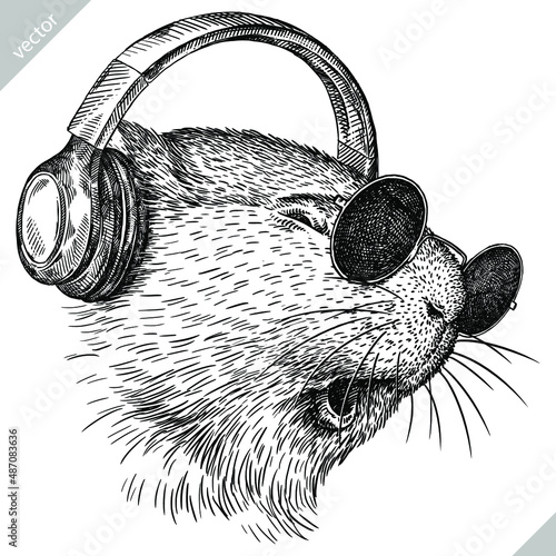 black and white engrave isolated guinea pig vector illustration