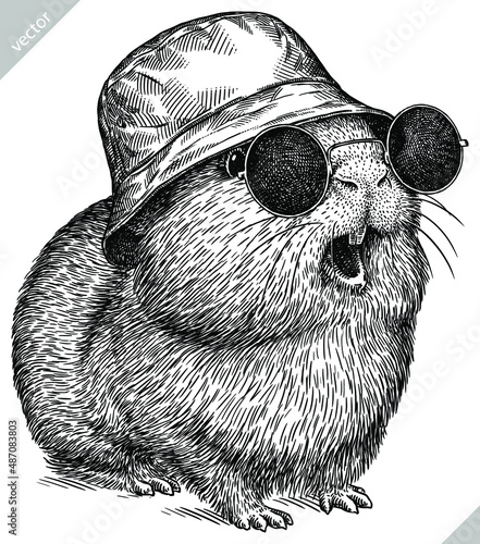 black and white engrave isolated guinea pig vector illustration