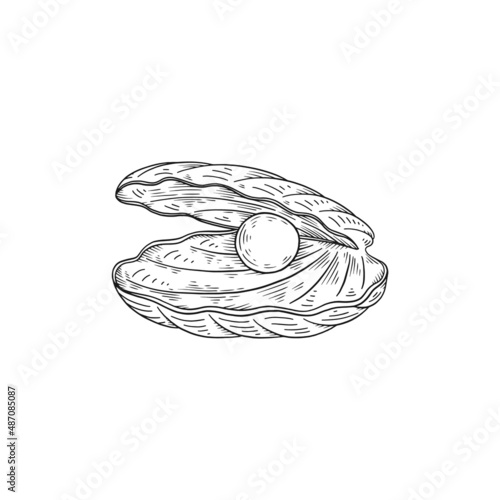 Natural pearl in open shell, hand drawn sketch vector illustration isolated.