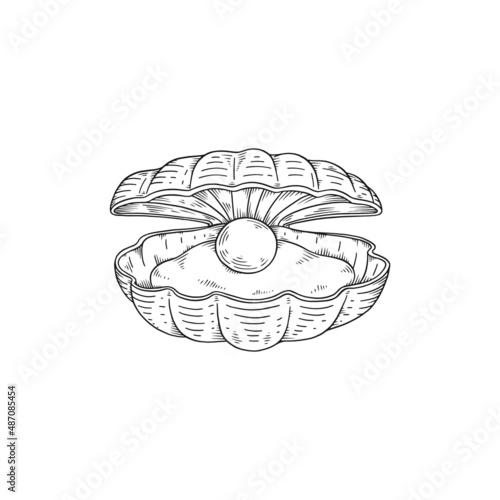 Elegant seashell with mollusk and pearl inside, monochrome sketch vector illustration isolated on white background.