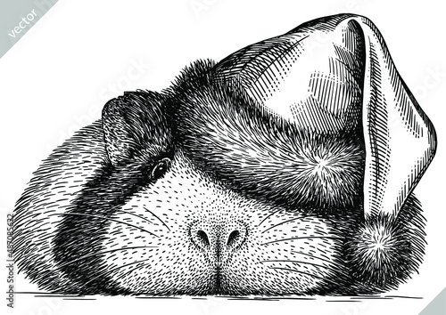 black and white engrave isolated guinea pig vector christmas illustration
