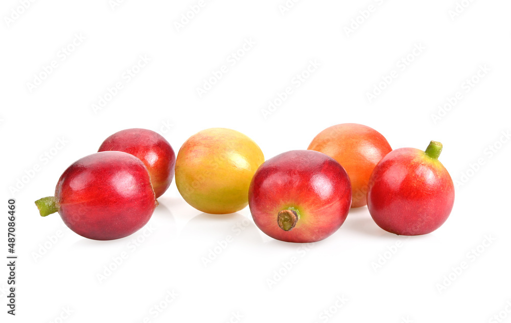 Fresh Red coffee beans, ripe and unripe berries isolated on white background Fresh Red coffee beans, ripe and unripe berries isolated on white background