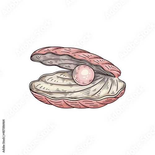 Pink pearl in open shell, hand drawn sketch style vector illustration isolated.
