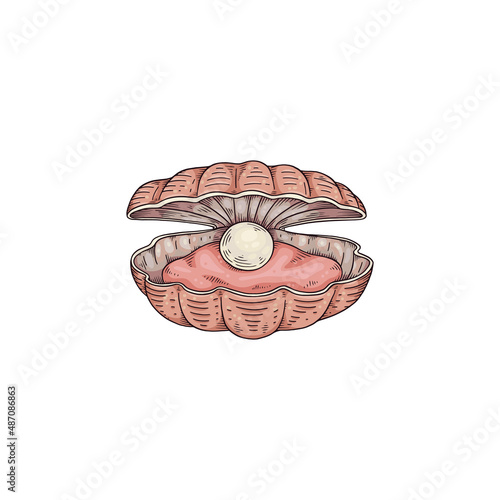 Pearl and mollusk inside of nacre seashell, colored sketch vector illustration isolated on white background.