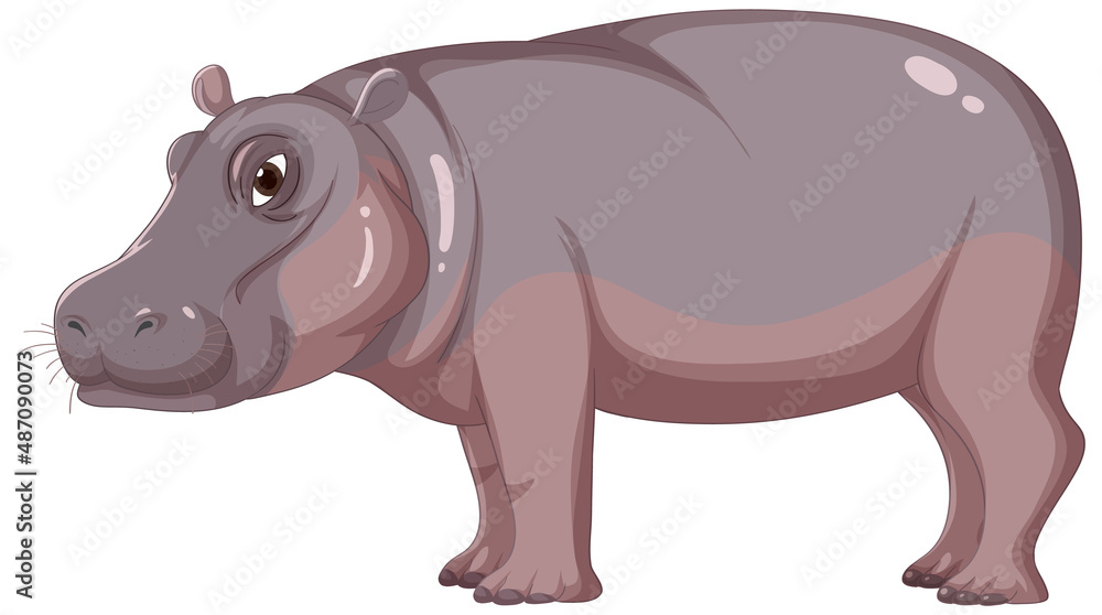 Naklejka premium Hippopotamus isolated on white background