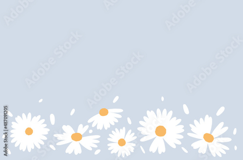 Daisies on a blue background vector.