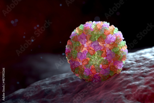 Norovirus, Norwalk Virus photo