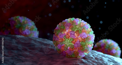 Norovirus, Norwalk Virus photo